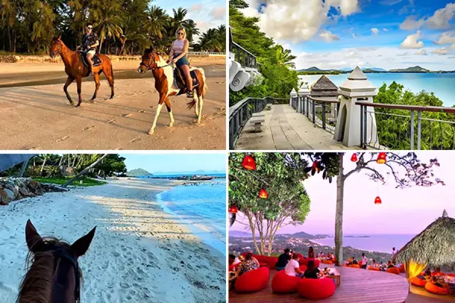 Horse Riding At Sunrise & Koh Samui Private Sightseeing Tour