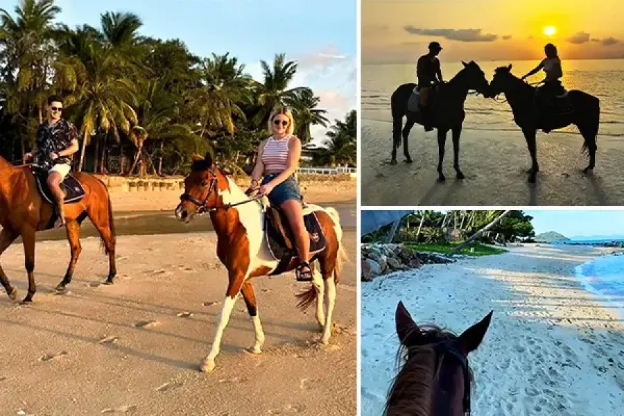 Horse Riding Along The Beach in Koh Samui