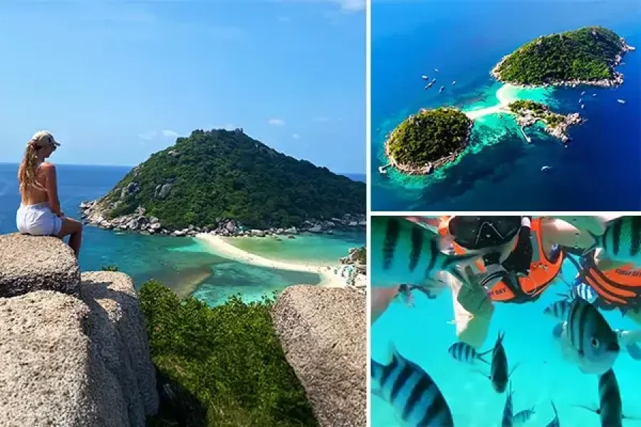 Koh Tao Island & Nangyan Island Day Trip