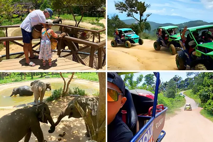 Koh Samui Elephant Sanctuary & Buggy Adventure