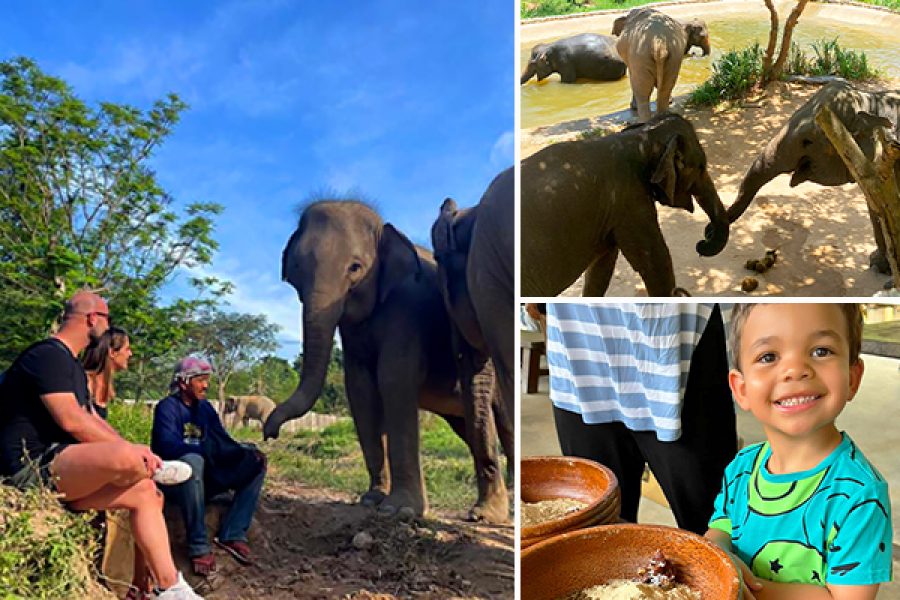 elephant-kingdom-kohsamui